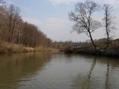 река Таруса